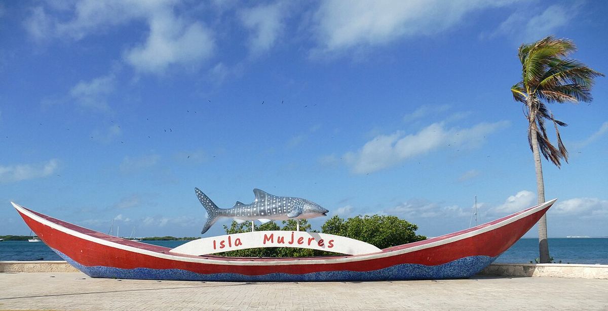 Whale Shark Adventure from Isla Mujeres